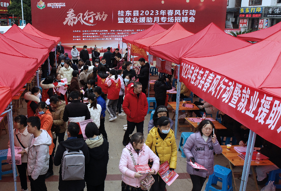 就業“春風”暖萬家