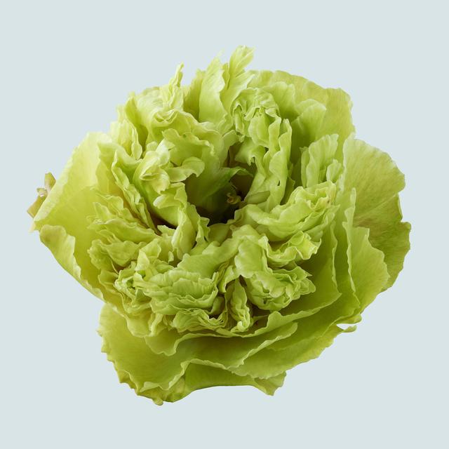 王昆峰：探索打開物性的超視覺影像
