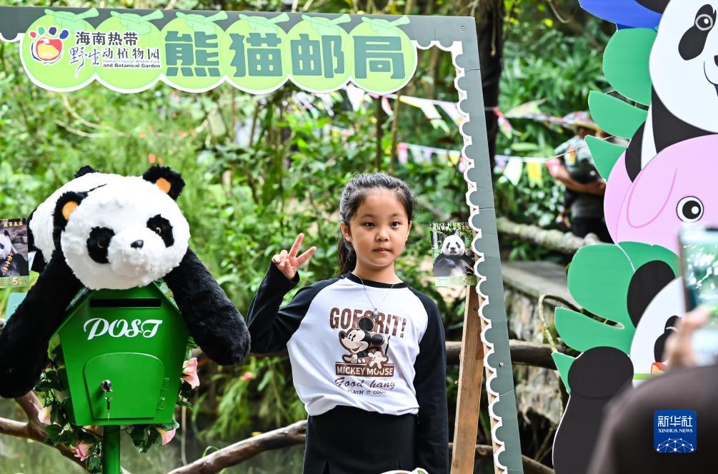 海口：慶祝“熊貓兄弟”登島五周年
