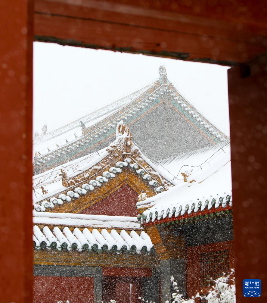 震撼人心！攝影師直擊各地初雪飄