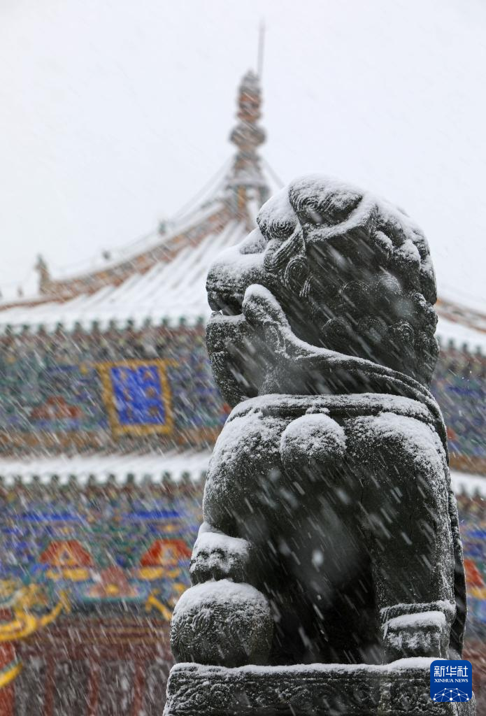震撼人心！攝影師直擊各地初雪飄