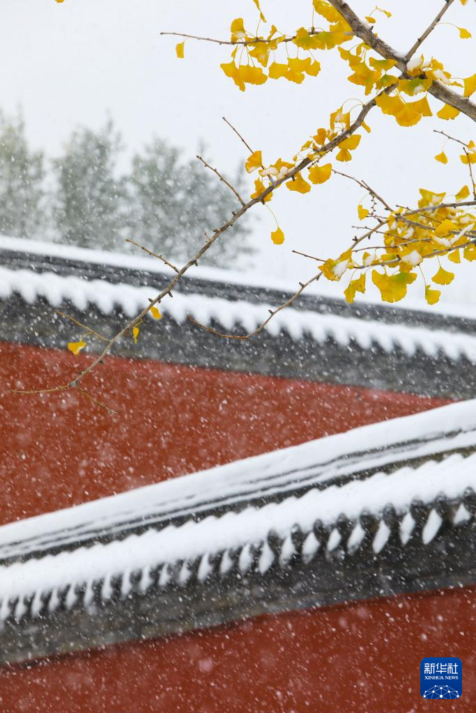 震撼人心！攝影師直擊各地初雪飄