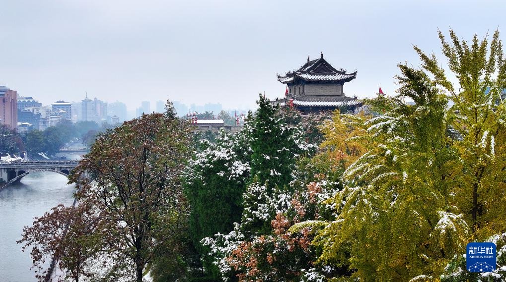 震撼人心！攝影師直擊各地初雪飄